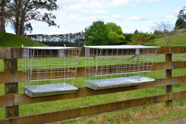 Hanging Feeders both sizes