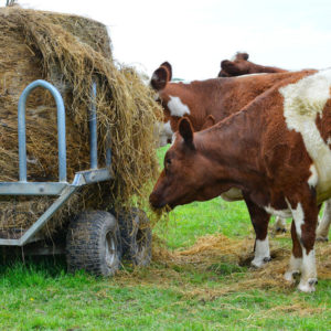 Large Bale Feeders - Ezi Feeders with opt hoops attached