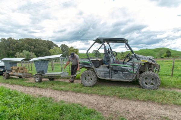 Wheeled Feeders - Shows ease of joining multiple Feeders