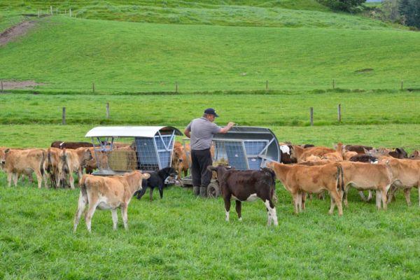 Wheeled Feeders - Shows tipping lid